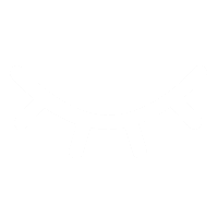 显示密码